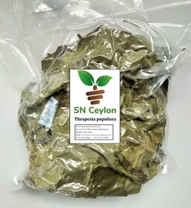Thespesia popnea Portia Baum Aden Apfel indischer Tulpenbaum Rinde & Blatt - 250g - Bild 1 von 7