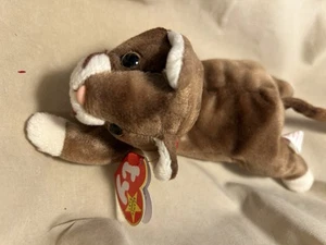1997 TY ORIGINAL BEANIE BABY---POUNCE--CAT---DATE OF BIRTH--AUGUST 28, 1997 - Picture 1 of 1