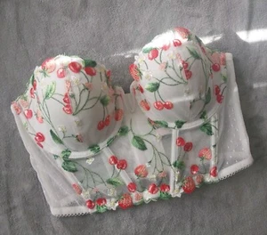 NWT Victoria's Secret Strawberry Cherry  Bustier Bra Dream Angels 34D - Picture 1 of 8