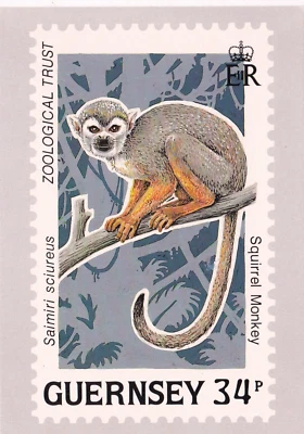 Tarjeta estampilla Guernsey 1989 mono ardilla 34p sin usar en muy buena condición Foto 1 de 2
