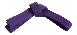 Martial Sports Double Wrap Karate/Taekwondo/Judo Belts - 4 cm - Free Shipping - Picture 1 of 12