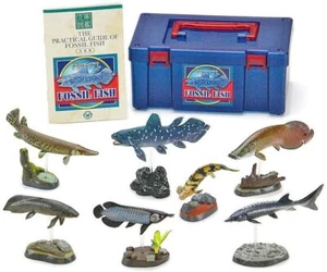 Colorata Figura Real Caja Set Pez Fósil Pez Antiguo Nuevo Japón Envío Gratuito con T - Imagen 1 de 9