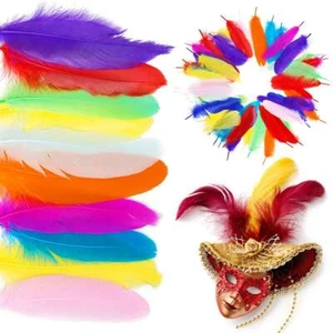 Wholesale 50/100pcs Beautiful Goose Feathers wedding Craft DIY 4-6inches/10-15cm - Picture 1 of 15