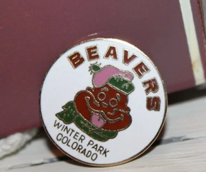Beavers Winter Park Colorado Ski Skiing Pin Brooch Gold Tone - Ski Beavers Pin - Picture 1 of 6