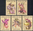 Russia 1991 Orchids/Flowers/Plants/Nature/Lady's Slipper/Bee Orchid 5v set b1190