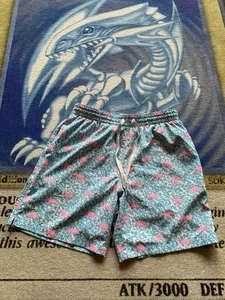 Chubbies Domingos Are For Flamingos 7” Swim Trunk Shorts Men’s Medium WORN 1x! - Picture 1 of 8