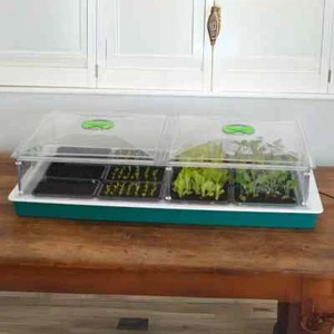 Vitopod Heated Propagator - Precision Temperature Control for Gardening - Picture 1 of 12