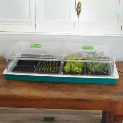 Vitopod Heated Propagator - Precision Temperature Control for Gardening - Image 1 of 4