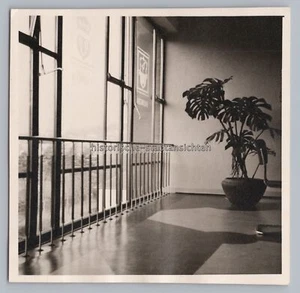 Menden 1958 - Amtsgericht Fensterfront - Altes Foto 1950er - Bild 1 von 2