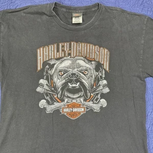Camiseta Harley Davidson Cozumel México Bulldog, Iguana Moto XL Desteñida - Imagen 1 de 6