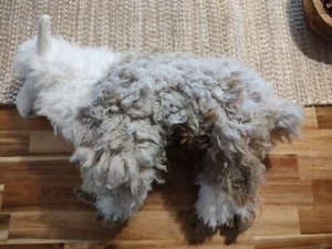 Folkmanis Alpaka Ganzkörper Handpuppe Plüschtier ETIKETTSCHNITT - Bild 1 von 7