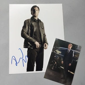 DAVID MORRISSEY 'Walking Dead Governor' signed In-person Foto 20 x 25 Autogramm  - Bild 1 von 1