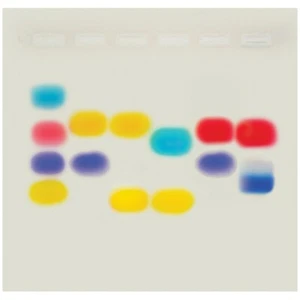 Auf der Suche nach meinem Vater - Bild 1 von 2