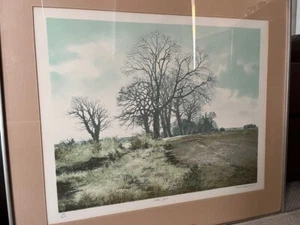 Gerald Hughes Chittern Grove British Impressionist Lithograph Ted Hughes - Picture 1 of 11