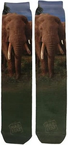 Animal World Unisex (Fits Most Adults) Wild Life Elephant Sublimated Socks (OS) - Picture 1 of 2