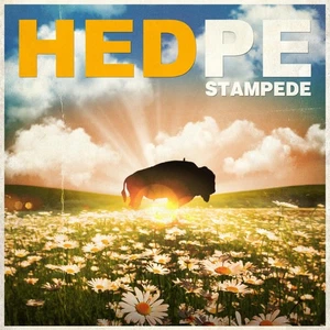 Stampede - Picture 1 of 1