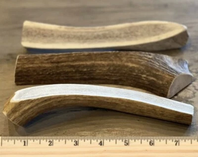 LARGE SPLIT ELK ANTLER Premium Dog Chew 7”+ (1pc) **OREGON ANTLER WORKS** - Image 1 of 4