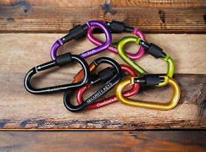 Personalisierte abschließbare Karabiner (2-5er Pack) 7,8 cm Clip Hochzeit Event Geschenk Schlüsselanhänger - Bild 1 von 10