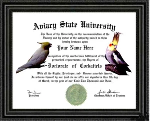Diploma de Doctorado de Amante de la Cacatúa / Grado Hecho a Medida y Diseñado para USTED - Imagen 1 de 1