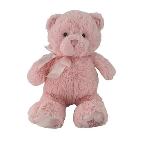 Gund Baby My First Teddy Bear Plush Pink 10" Satin Soft Stuffed Animal Gift Girl - Picture 1 of 11