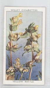 1937 Wills Wild Flowers Series 2 Tobacco Yellow Rattle #37 1i3
