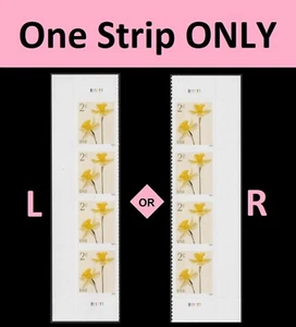 US 5898 Flowers Daffodils 2c plate strip 4 MNH 2024 - Picture 1 of 1