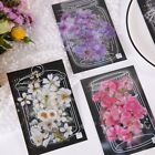 Scrapbooking Decoration Fresh Flower Stickers PET DIY Stick Labels