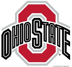 18 STYLES-- Ohio State Buckeyes Wall Decal OSU University Sticker Decor Wall Art - Picture 1 of 19