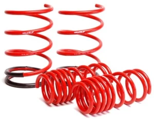 Resortes descendentes Skunk2 (2,25 pulgadas - 2,00 pulgadas) (Juego de 4) para Honda Civic 01-05 - Imagen 1 de 8