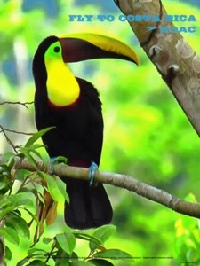 Vintage Style Airline Poster BOAC nach Costa Rica A4/A3/A2 Druck - Bild 1 von 1