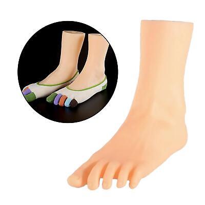 Mannequin-Fuß, Lebensechte Füße Für Erwachsene, Zur Präsentation Von • 15.66€