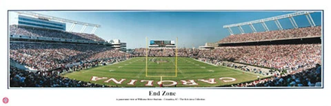 NCAA South Carolina Gamecocks Football End Zone Panoramic Poster Print 5002 Cover