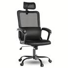 Ergonomic Computer Desk Office Chair w/Lumbar,Support, Headrest, Padded Armrest