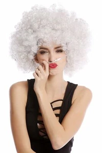 Parrucca Afro Parrucca Afro Anni 70 Festa Funky Disco Foxy Grigia PW0011-P309 - Foto 1 di 4