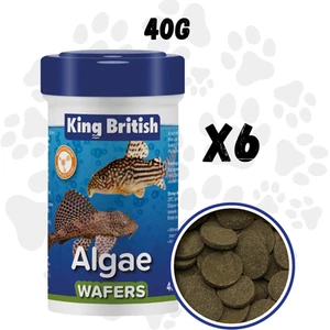 6 x King British Algae Wafers 40g - Sinking Food for Catfish & Plecos | 240g - Picture 1 of 6