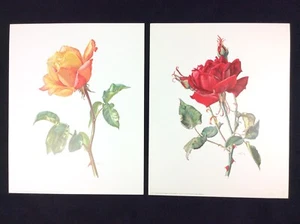 De colección (2) Rosa-Amarillo y Rosa Roja 1971 Corona-Editorial Litografía Impresión Arte - Imagen 1 de 5