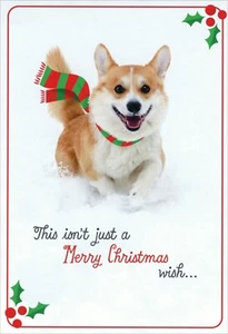 Cute MERRY CHRISTMAS Card, Corgi Dog Snow Tail Wag In An Envelope by Hallmark +✉ - Picture 1 of 5