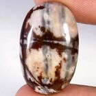 100% Natural Out Back Jasper Oval Cabochon Loose Gemstones 23.60Cts 17x 27x 06mm