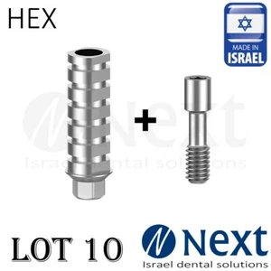 Lotex10 Titanio Recto Temporal Pilar con Hexagonal 2.42 - Imagen 1 de 5