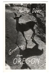 Grüße aus Oregon Hallo Hirsch Postkarte Schwarzweiß Foto Sawyer's 16821 - Bild 1 von 2