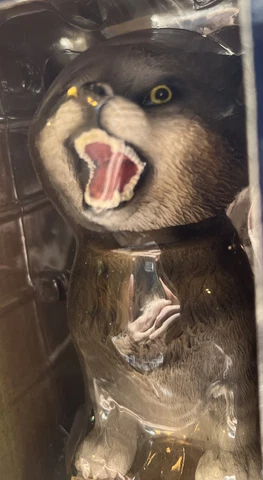 wildcats mascot bobblehead Cover