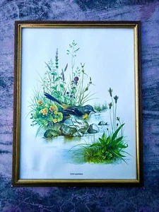 (Vintage Bild 1974 Gebirgs Stelze) - Bild 1 von 2