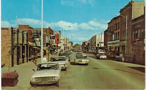 Traverse Downtown Main Street Woolworth's 1960 MI - Foto 1 di 2
