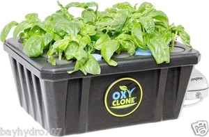 OxyClone 20 Site DWC. Sistema de clonación es MUCHO más fuerte AHORRA $$ CON HIDRO DE BAHÍA $$ - Imagen 1 de 7