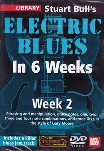 ELECTRIC BLUES IN 6 WEEKS by STUART BULL- WEEK 2- METHOD DVD- NEW! - Picture 1 of 2