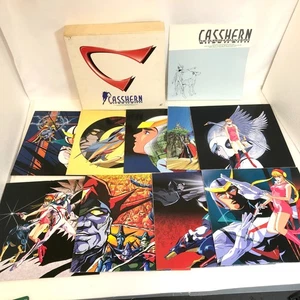 LD, Casshern LD-BOX, LD 9-disc set Perfect Collection From Japan - Picture 1 of 23