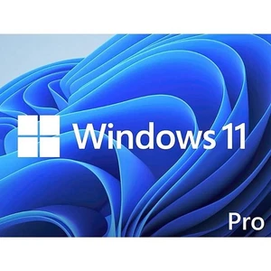 Microsoft Software Licensing Windows 11 Professional 64 Bit (OEMW11PR64B1PK) - Picture 1 of 1