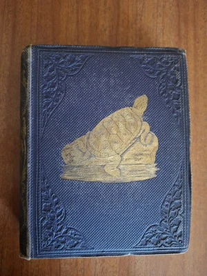 Antiguo Antiguo Original 1857 El Acuario por Sowerby 20 Platos Colores a Mano Foto 1 de 4