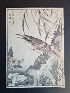 Antique c.1890 Japanese woodblock print - Bird & Flowers - Kikuchi Hobun - Picture 1 of 3