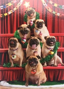 "¡Siete Pugs-a-Posing!" TARJETA DE NAVIDAD AVANTI Divertidos Pugs en el escenario - Imagen 1 de 2